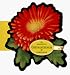 The Magnetic Chrysanthemum Companion (The Magnet Gardener)