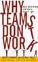 Why Teams Don't Work