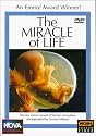 NOVA - The Miracle of Life