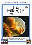 NOVA - The Miracle of Life