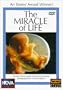 NOVA - The Miracle of Life