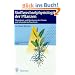 Stoffwechselphysiologie der Pflanzen: Physiologie und Biochemie des Prim�r- und Sekund�rstoffwechsels