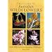 Field Guide to Australian Flowers: Over 1000 Common Australian Wildflowers