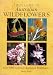 Field Guide to Australian Flowers: Over 1000 Common Australian Wildflowers