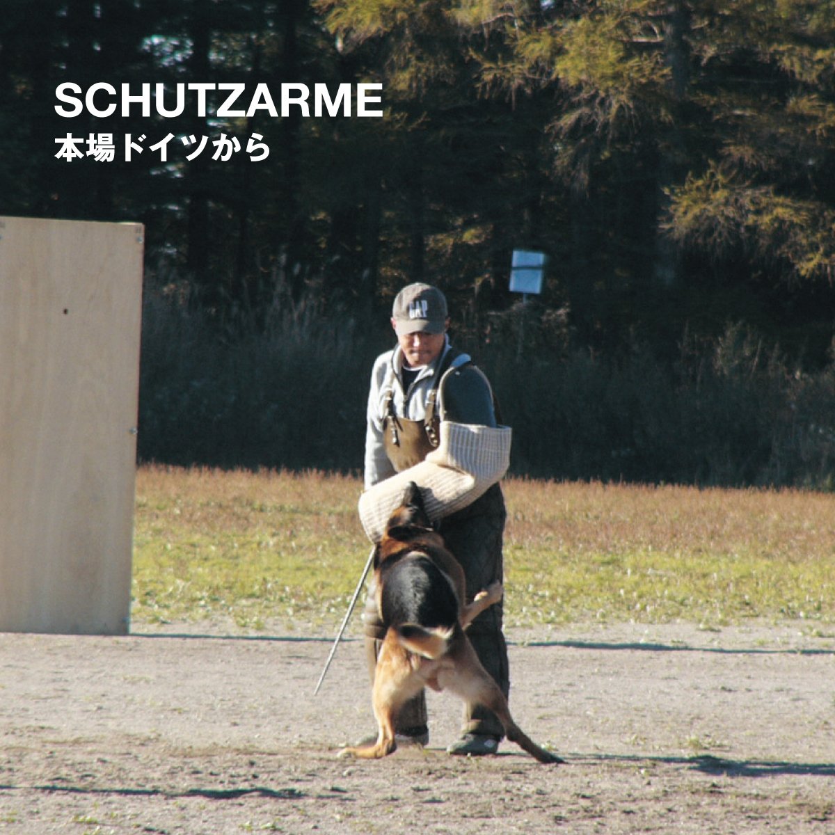 ホイッスル(犬笛)バッファローホイッスル,国外