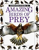 Amazing Birds of Prey (Eyewitness Juniors)