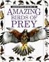 Amazing Birds of Prey (Eyewitness Junior)