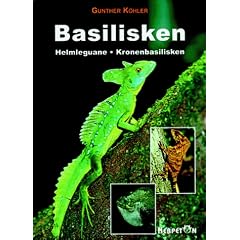 Basilisken Helmleguane Kronenbasilisken. Lebensweise Pflege Zucht.