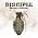 Vignette de Disciple