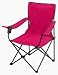 Pink Folding Chair
