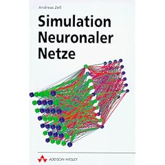 Simulation neuronaler Netze