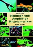 Reptilien und Amphibien Mittelamerikas. Band2: Schlangen: BD 2