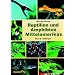 Reptilien und Amphibien Mittelamerikas. Band2: Schlangen: BD 2