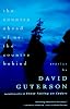The Country Ahead of Us, The Country Behind: Stories