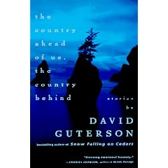 Country ahead of Us (Vintage Contemporaries)