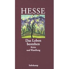 Das Leben bestehen. Krisis und Wandlung