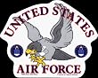 United States Air Force Logo with Eagle - Sticker / Decal with Clear Background