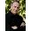 Thumbnail image of Neil Diamond