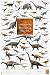 Safari 40099 Dinosaurs Of The Triassic And Jurassic Period Laminated Poster - Pack Of...