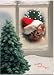 Kitchen & Housewares : Cat in Window Boxed Holiday Christmas Cards