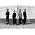 Vignette de Portico Quartet