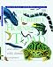 Book The Really Horrible Horned Toad (Really Horrible Guides)