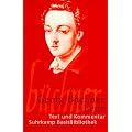 Lenz (Suhrkamp BasisBibliothek)