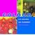 Colour for Health and Well-being: Using the Rainbow Spectrum to Bring Peace and Harmony (Health & Well-being)