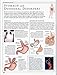 The Human Body (An Illustrated Guide to Its Structure, Function, and Disorders)