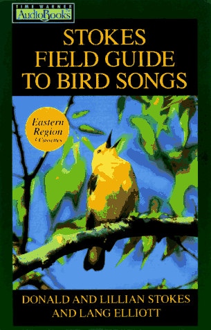 Backyard Birding