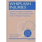 Whiplash Injuries: Current Concepts in Prevention, Diagnosis, and Treatment of the Cervical Whiplash Syndrome book cover