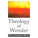 Theology of Wonder