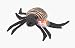 Search : Ty Beanie Babies - Spinner the Spider