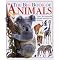 Delight your animal-loving children