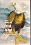 Story of Old Abe Wisconsin's Civil War Hero
