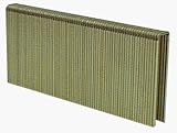 B & C Eagle SDM-2 2-Inch by 16 Gauge by 7/16-Inch Medium Crown Galvanized Sheathing Staple (10,000 per Box)