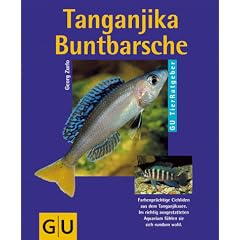 Tanganjika- Buntbarsche