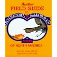 Another Field Guide to Little Known and Seldom Seen Birds of North America