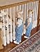 Clear Banister Guard Kit - 15 ft Roll