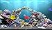 aniPet Marine Aquarium