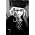 Thumbnail image of Melody Gardot