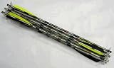 Excalibur Aluminum 20 2216 XX75 Vanes (Per72) Md: 2216V20-72