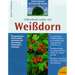 Lebenskraft tanken mit Wei�dorn