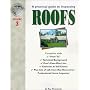 A Practical Guide to Inspecting Roofs