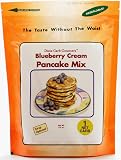 7154JpSsEML. SL160  Blueberry Cream Pancake & Waffle Mix by Dixie Carb Counters