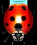 Portable Pets: Ladybug