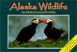 Alaska Wildlife Postcard Portfolio