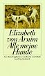 Alle meine Hunde: Roman (insel taschenbuch)