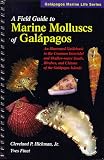 A Field Guide to Marine Molluscs of Galapagos (Galapagos marine life series) (Galapagos marine life series)