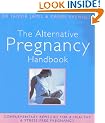 The Alternative Pregnancy Handbook: Complementary Remedies for a Healthy and Stress-free Pregnancy